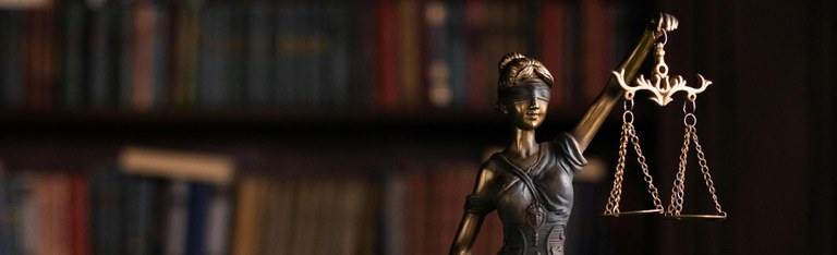 series can courts protect democracy 2.jpg