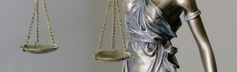 series can courts protect democracy.jpg