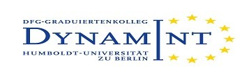 DynamInt Logo