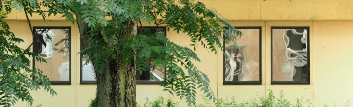 Baum und Baracke Foto: © Claudia Haarmann